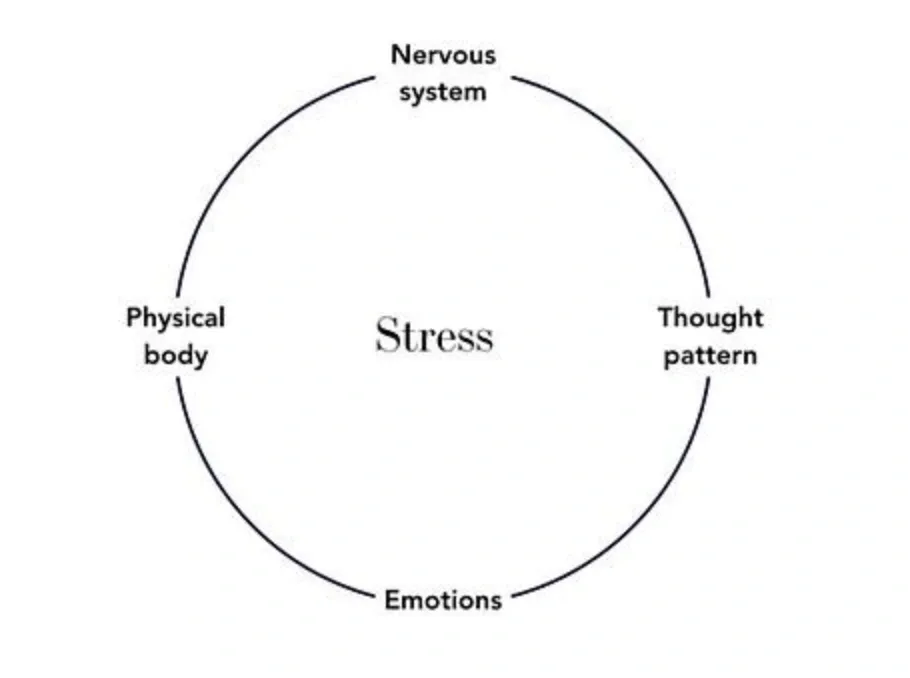 Coping with stress in business