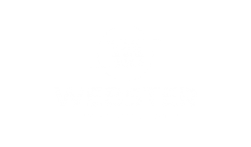 Webster SRS
